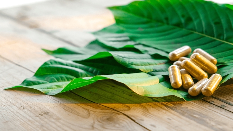 Unraveling the Popularity and Quality of Kratom Range
